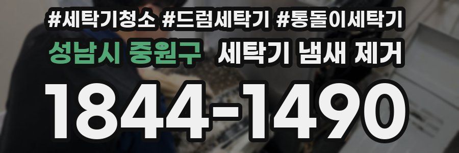 성남시 중원구 세탁기 냄새 제거