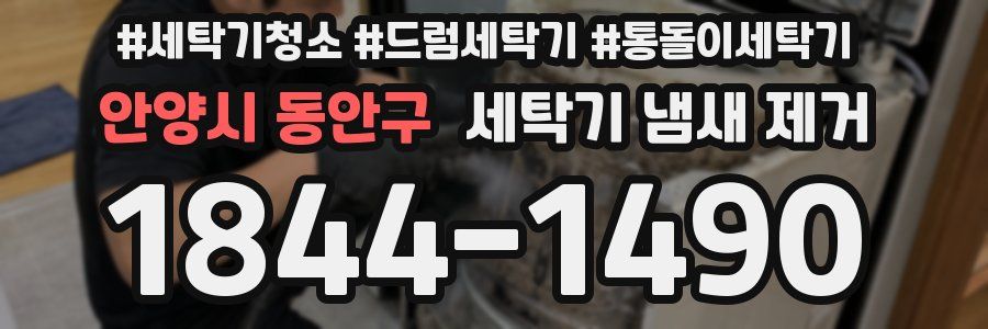 안양시 동안구 세탁기 냄새 제거