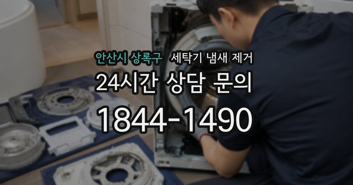 안산시 상록구 세탁기 냄새 제거