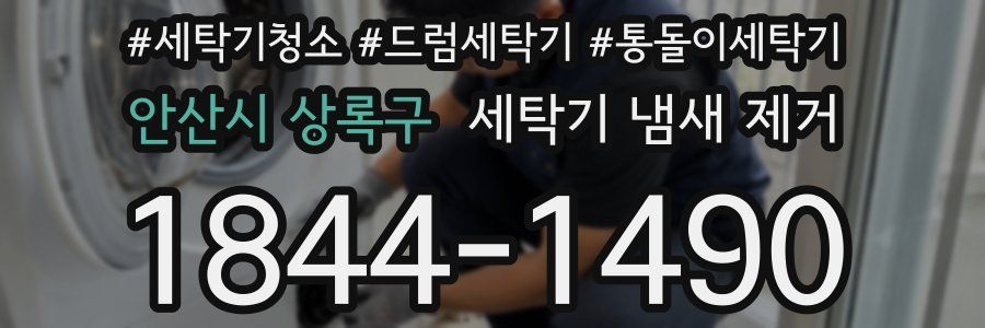 안산시 상록구 세탁기 냄새 제거