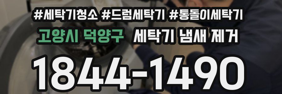 고양시 덕양구 세탁기 냄새 제거