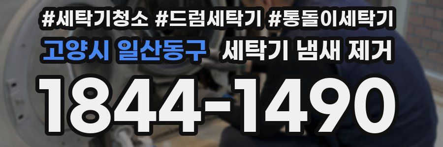 고양시 일산동구 세탁기 냄새 제거