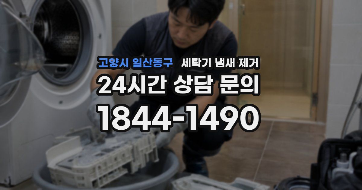 고양시 일산동구 세탁기 냄새 제거