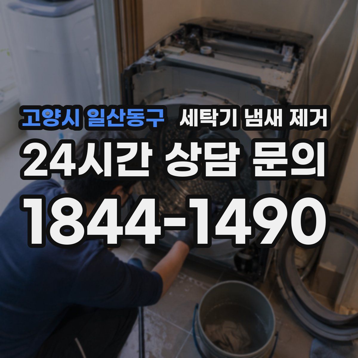 고양시 일산동구 세탁기 냄새 제거