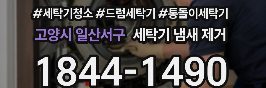 고양시 일산서구 세탁기 냄새 제거