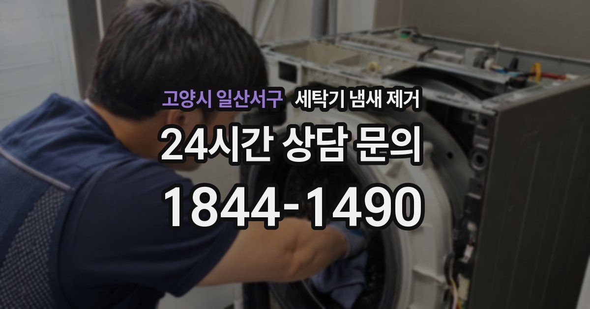 고양시 일산서구 세탁기 냄새 제거