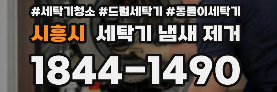 시흥시 세탁기 냄새 제거