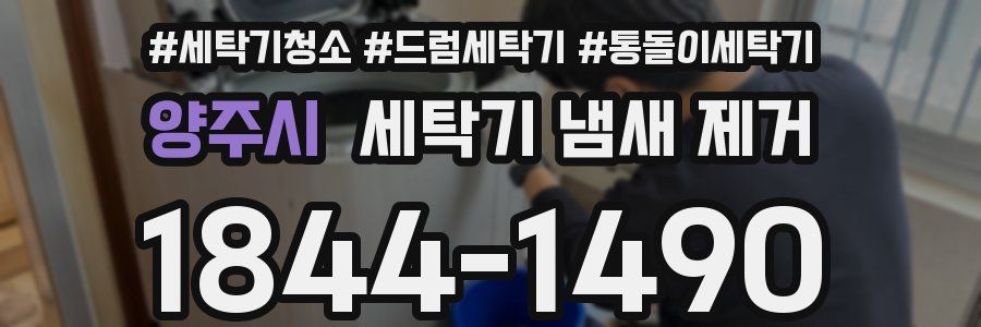 양주시 세탁기 냄새 제거