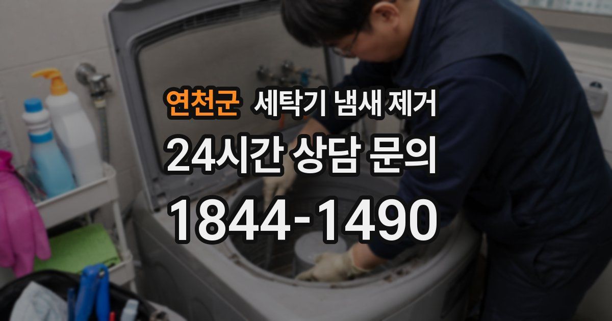 연천군 세탁기 냄새 제거