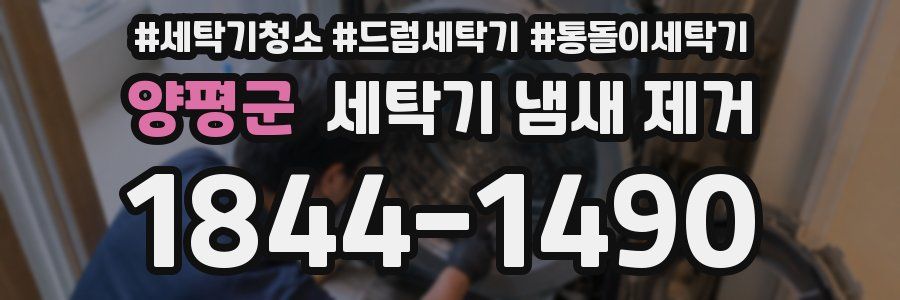 양평군 세탁기 냄새 제거