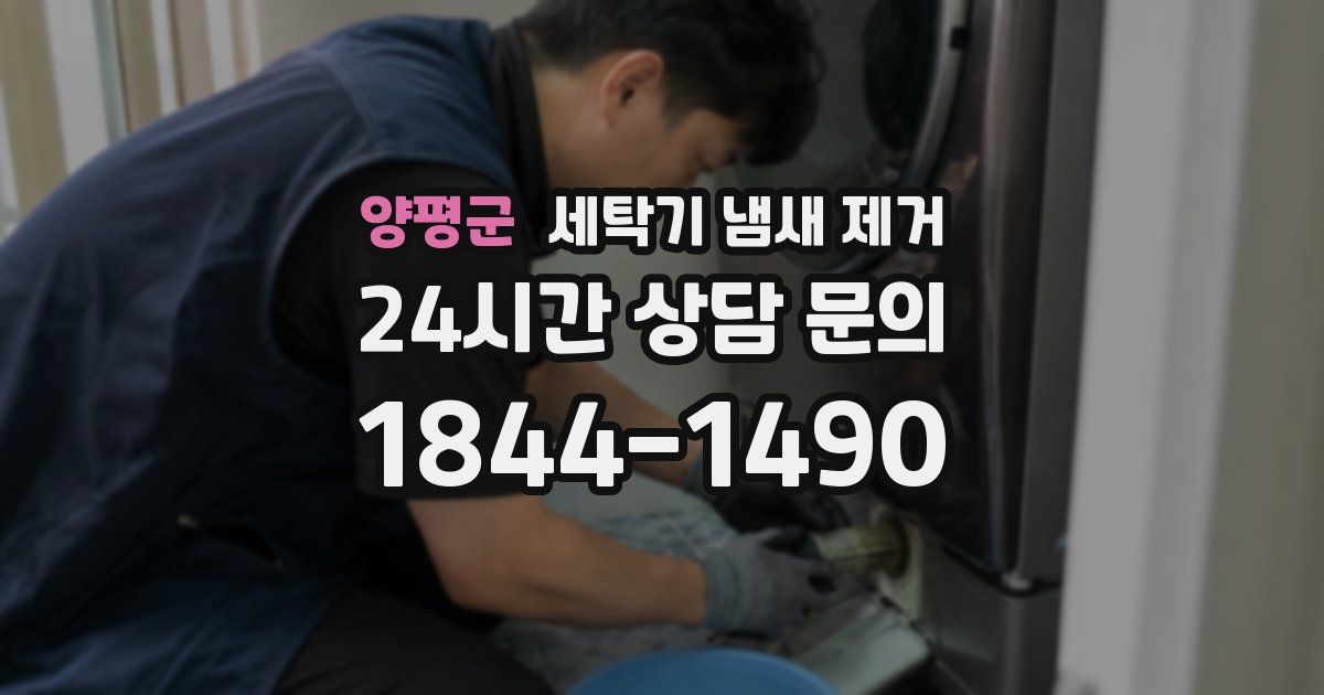 양평군 세탁기 냄새 제거