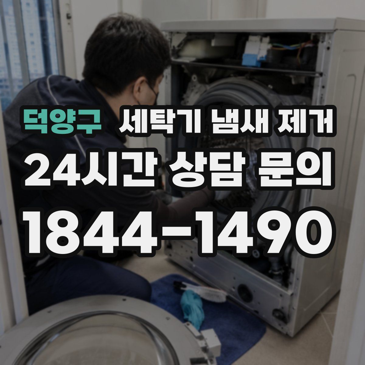 덕양구 세탁기 냄새 제거