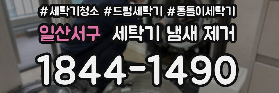 일산서구 세탁기 냄새 제거