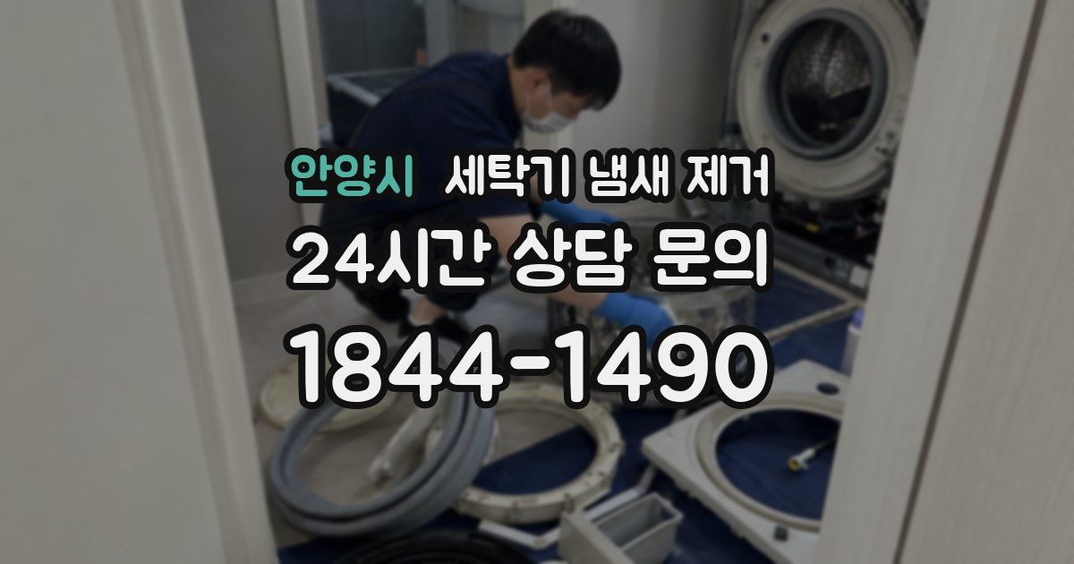 안양시 세탁기 냄새 제거
