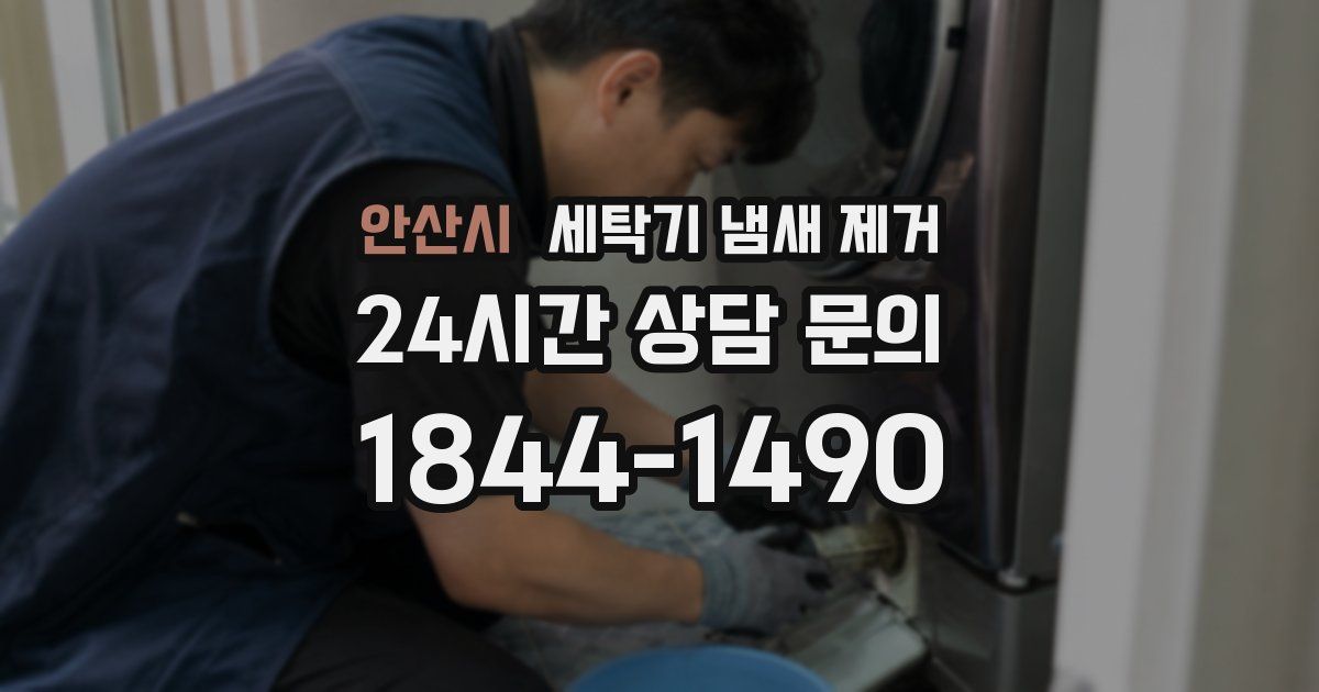 안산시 세탁기 냄새 제거