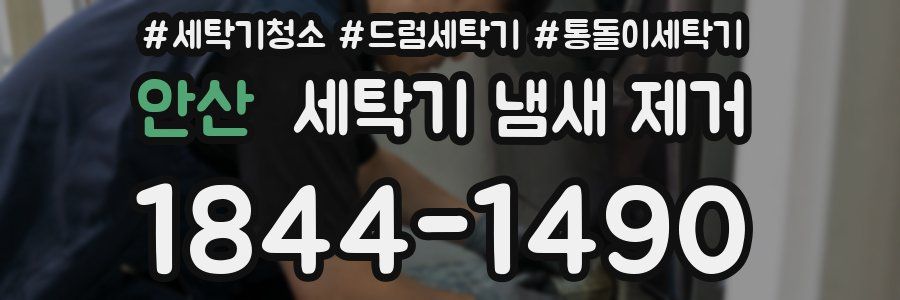 안산 세탁기 냄새 제거
