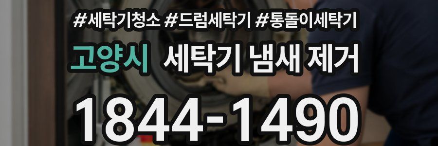 고양시 세탁기 냄새 제거