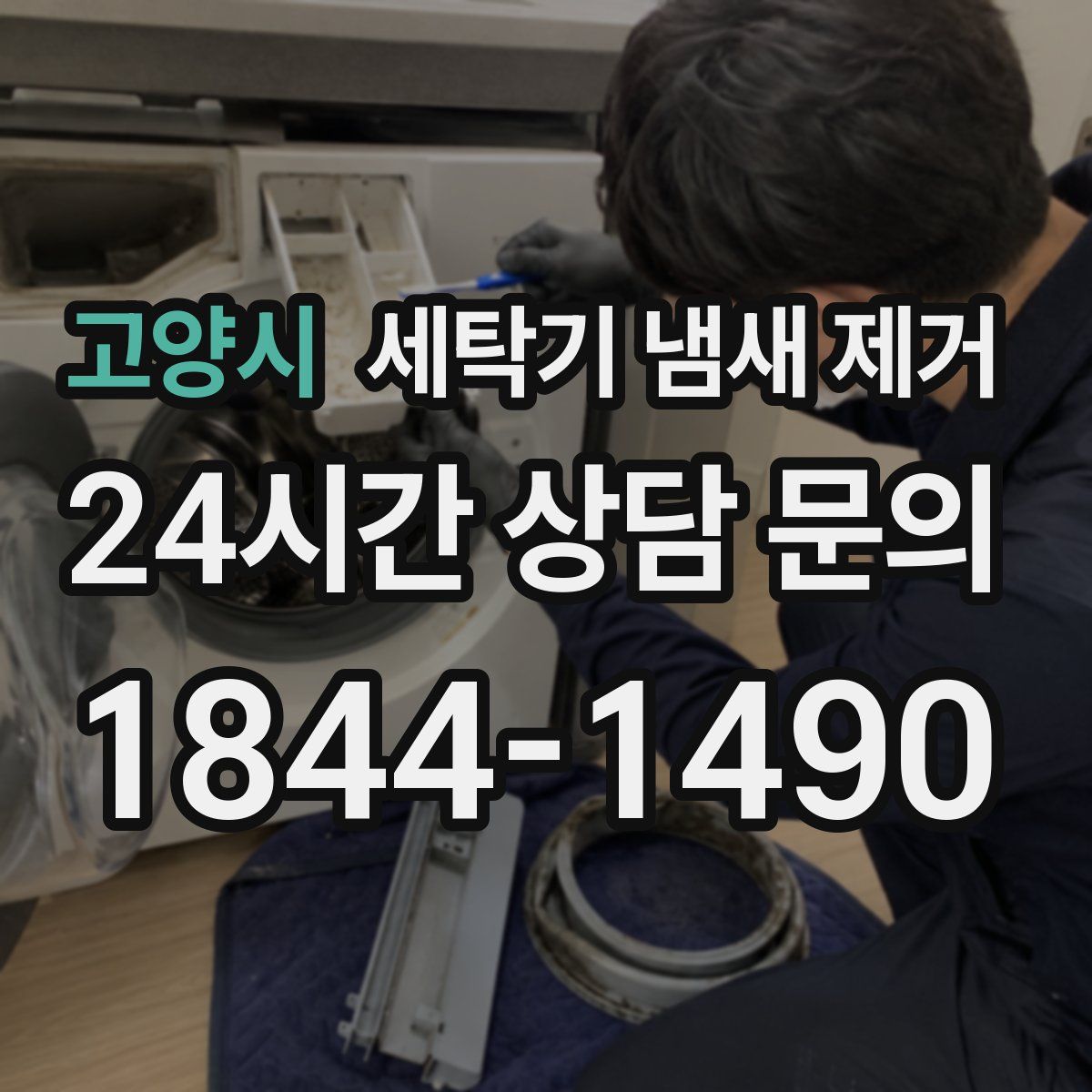 고양시 세탁기 냄새 제거