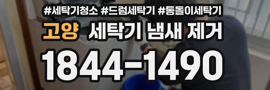 고양 세탁기 냄새 제거