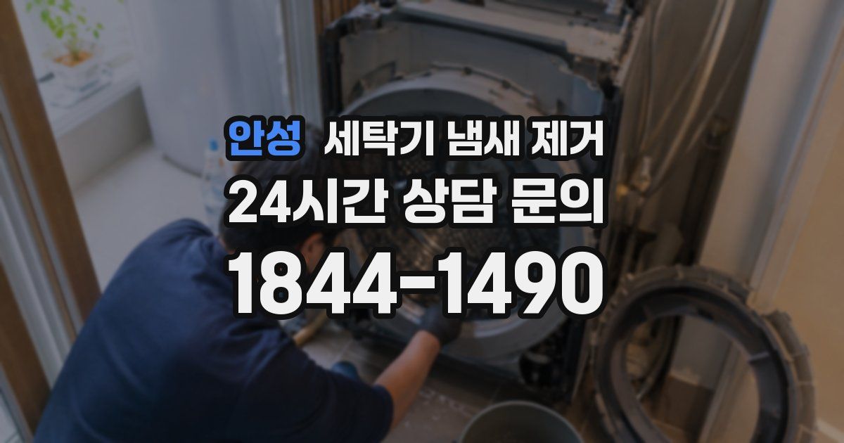 안성 세탁기 냄새 제거