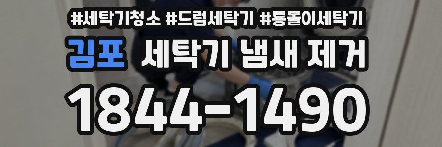 김포 세탁기 냄새 제거
