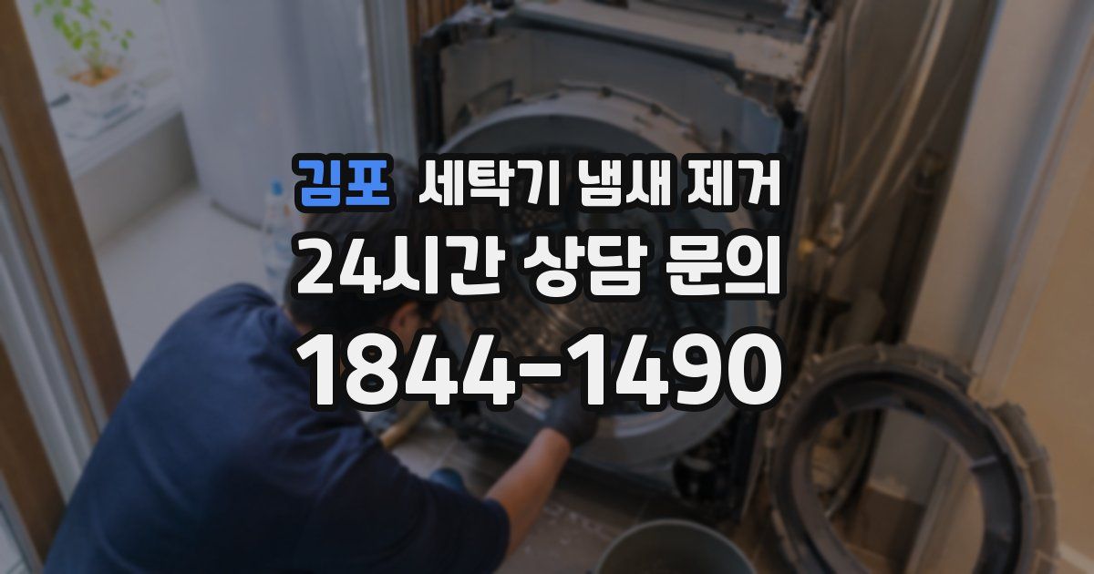 김포 세탁기 냄새 제거