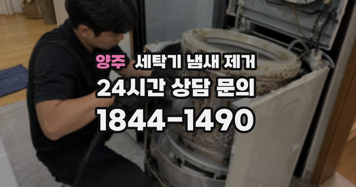 양주 세탁기 냄새 제거