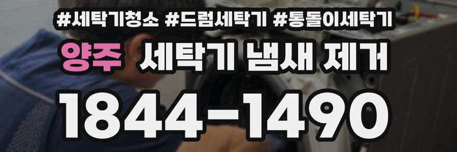 양주 세탁기 냄새 제거