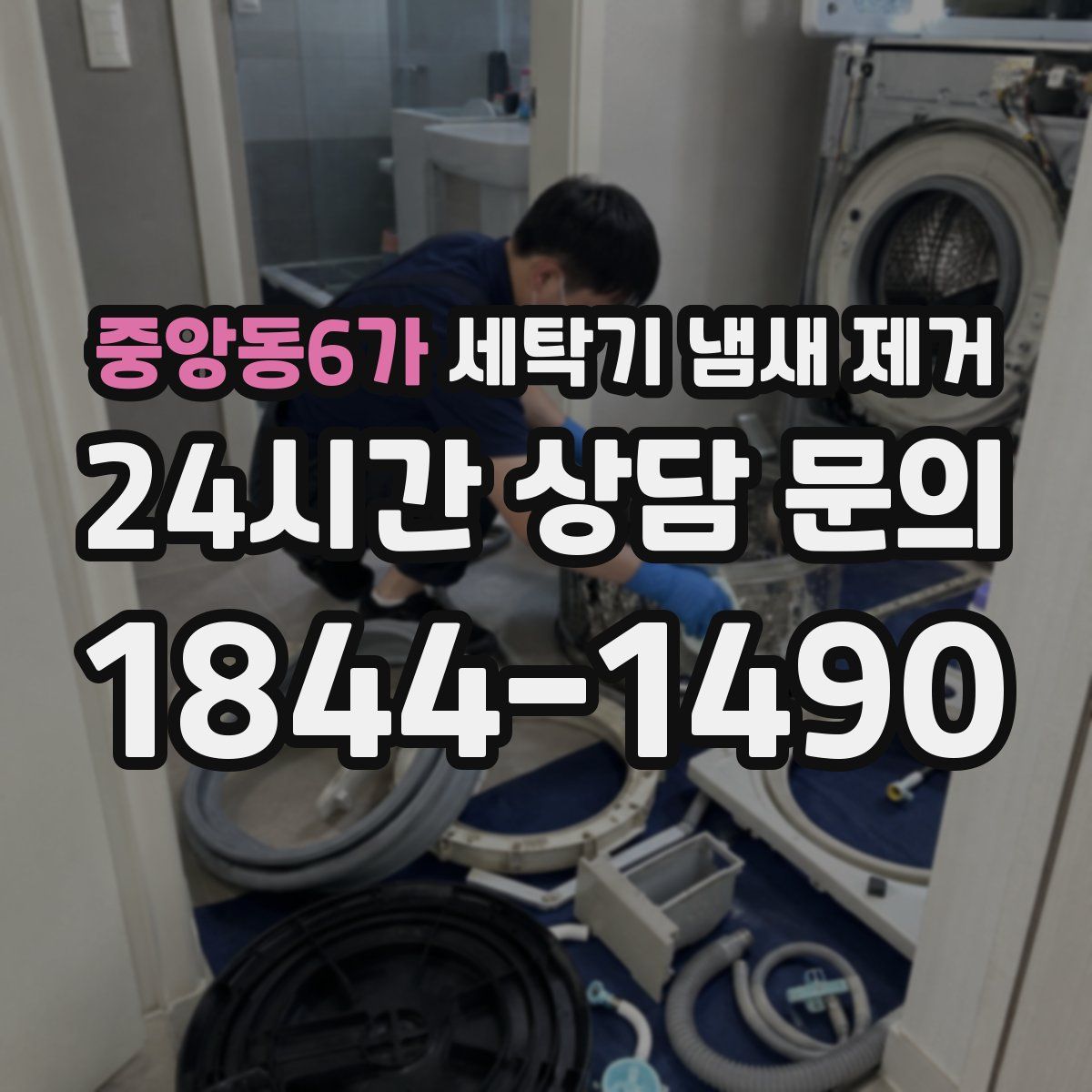 중앙동6가 세탁기 냄새 제거
