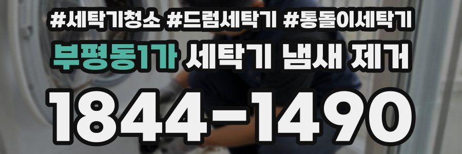 부평동1가 세탁기 냄새 제거
