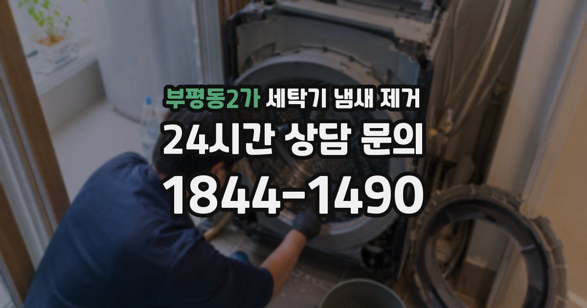 부평동2가 세탁기 냄새 제거