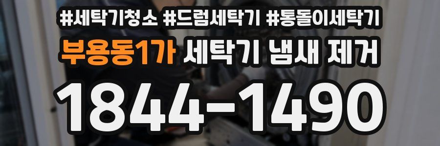 부용동1가 세탁기 냄새 제거