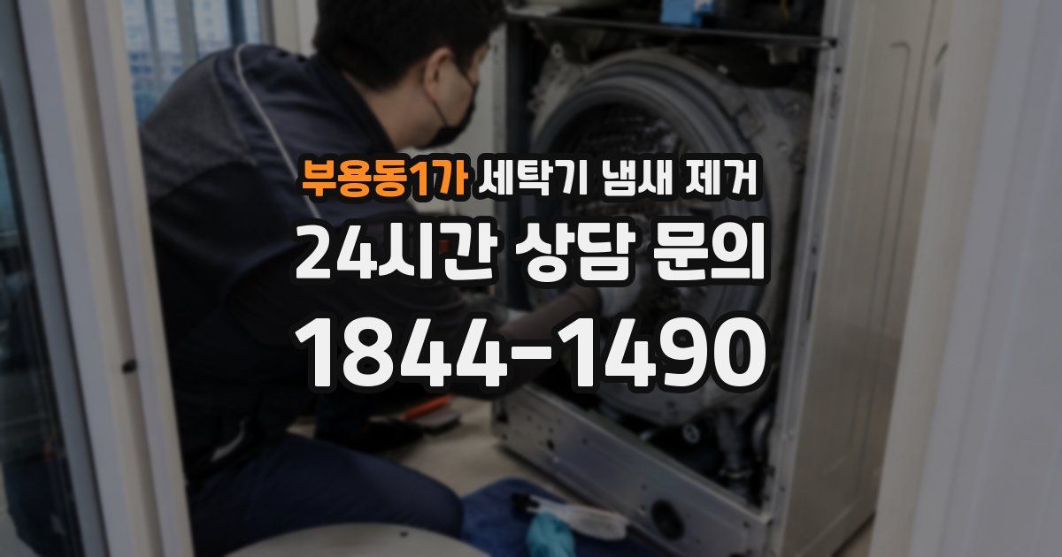 부용동1가 세탁기 냄새 제거