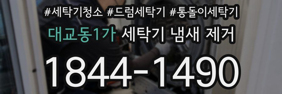 대교동1가 세탁기 냄새 제거