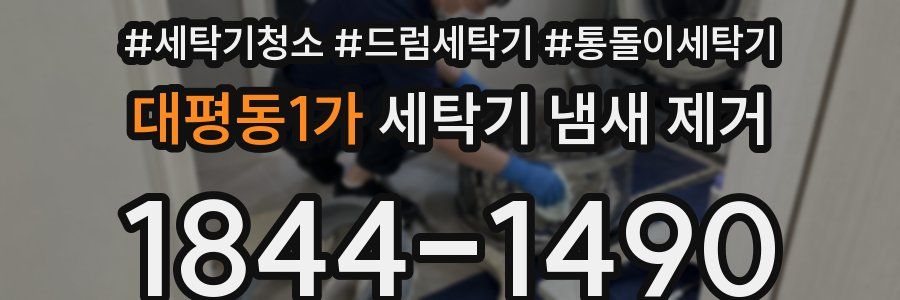 대평동1가 세탁기 냄새 제거