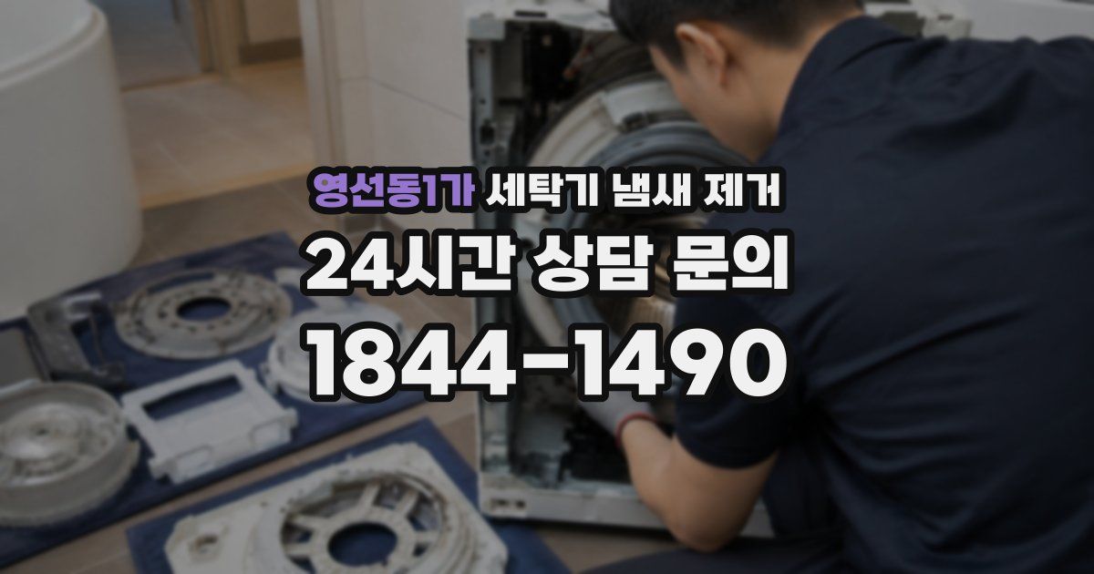 영선동1가 세탁기 냄새 제거