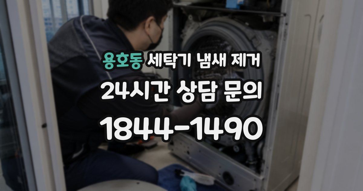 용호동 세탁기 냄새 제거