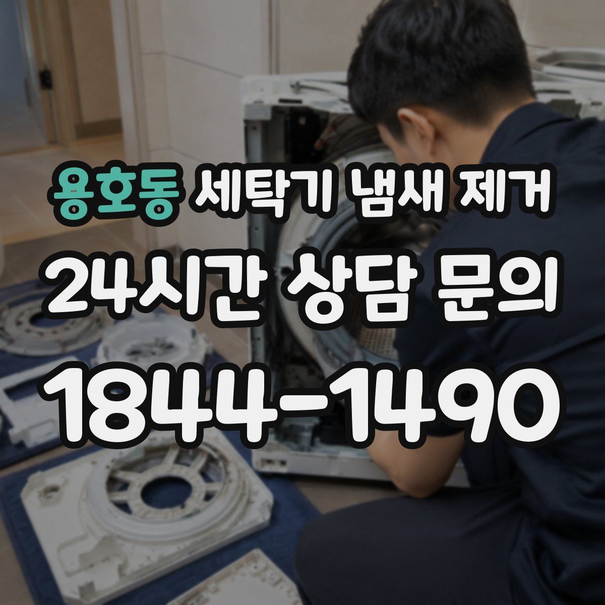 용호동 세탁기 냄새 제거
