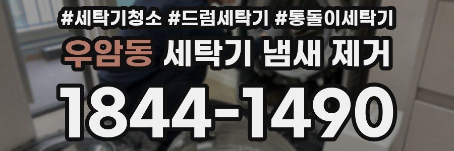 우암동 세탁기 냄새 제거