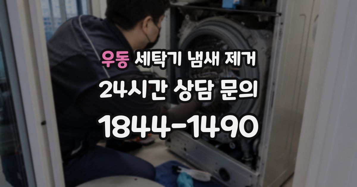 우동 세탁기 냄새 제거