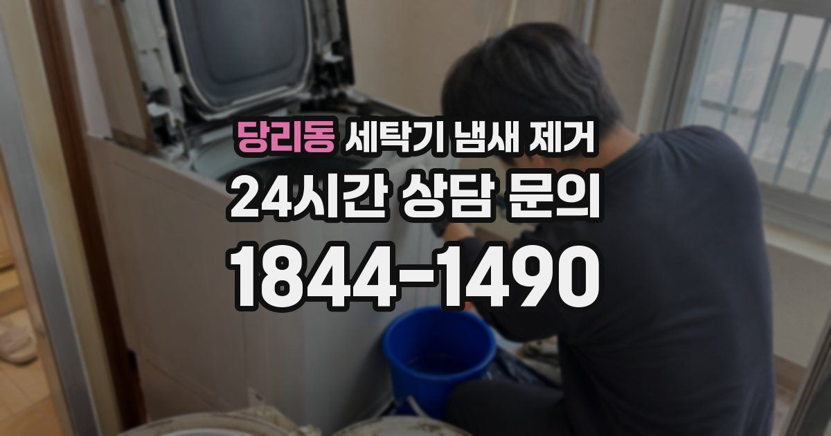 당리동 세탁기 냄새 제거