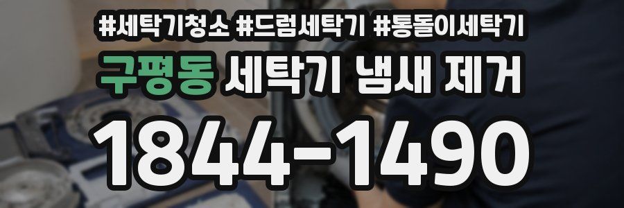 구평동 세탁기 냄새 제거