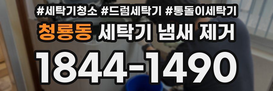 청룡동 세탁기 냄새 제거