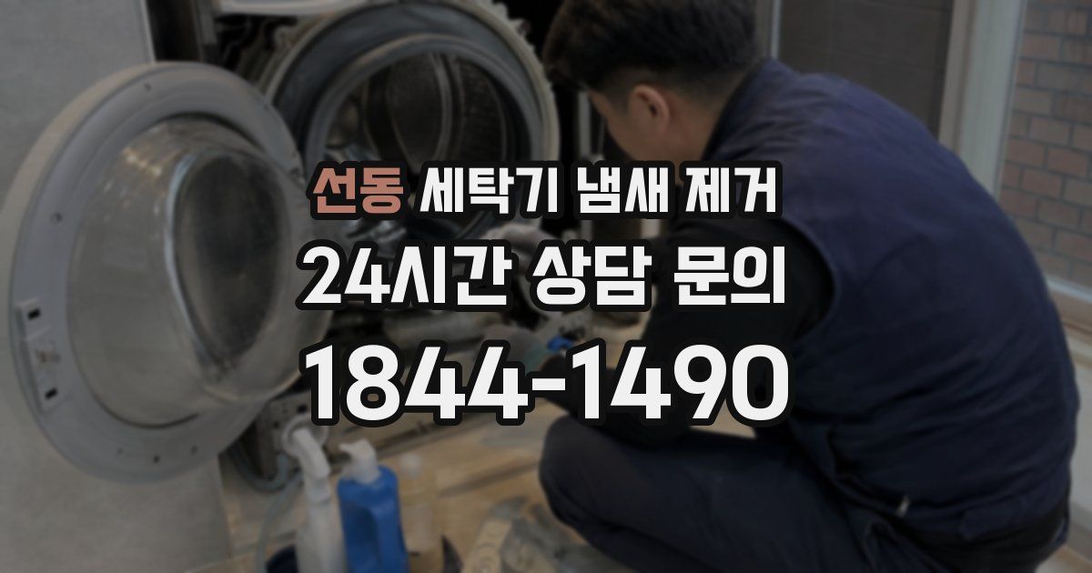 선동 세탁기 냄새 제거