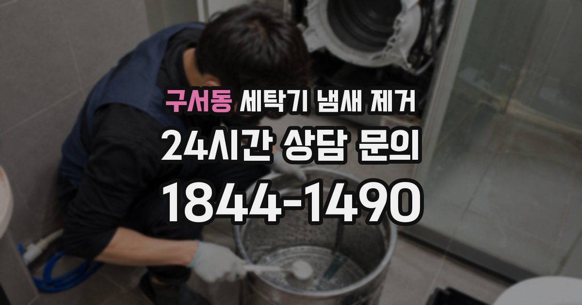 구서동 세탁기 냄새 제거