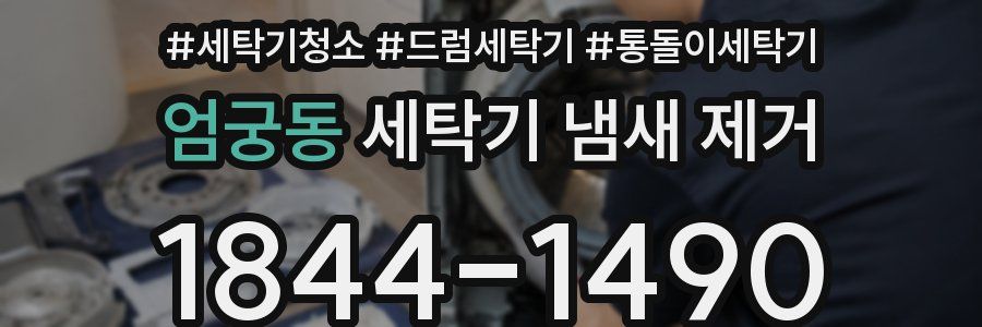 엄궁동 세탁기 냄새 제거