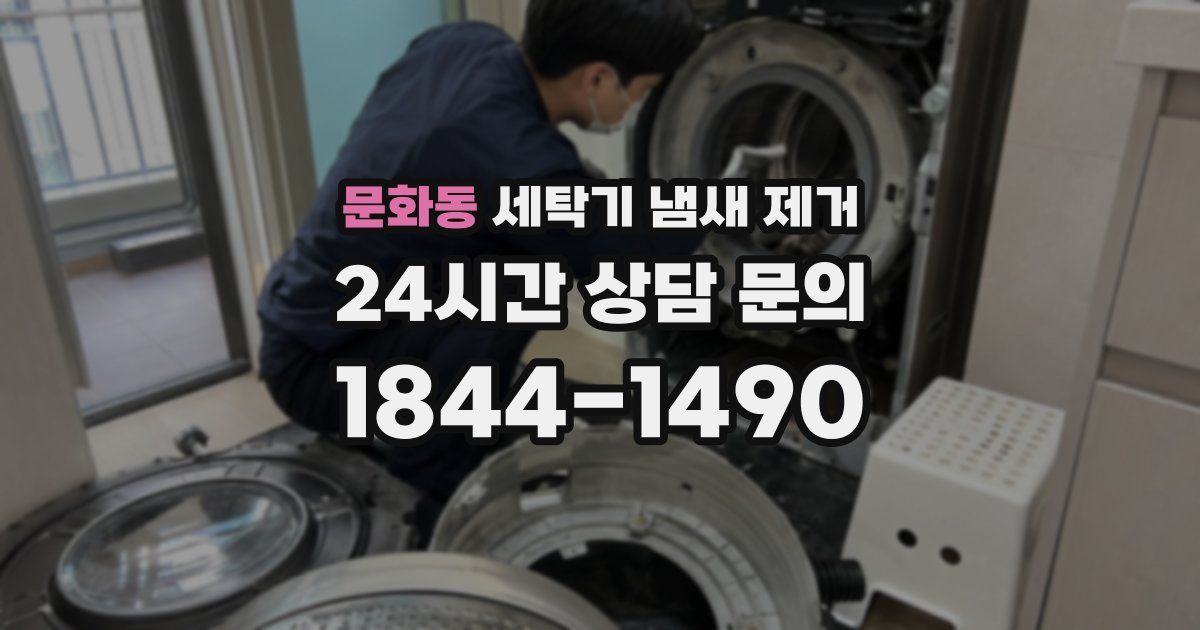 문화동 세탁기 냄새 제거
