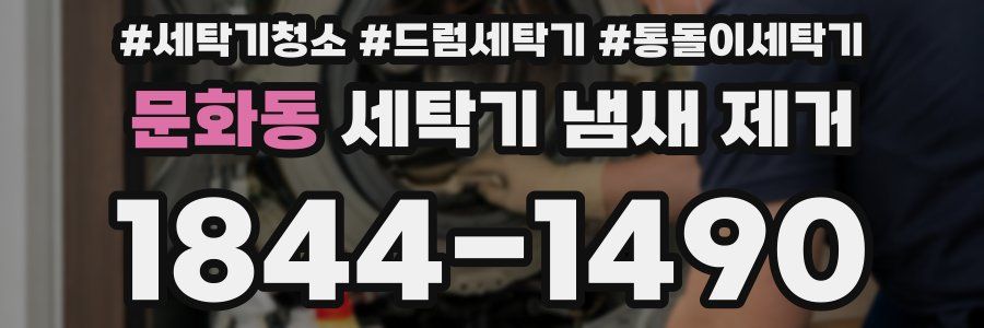 문화동 세탁기 냄새 제거