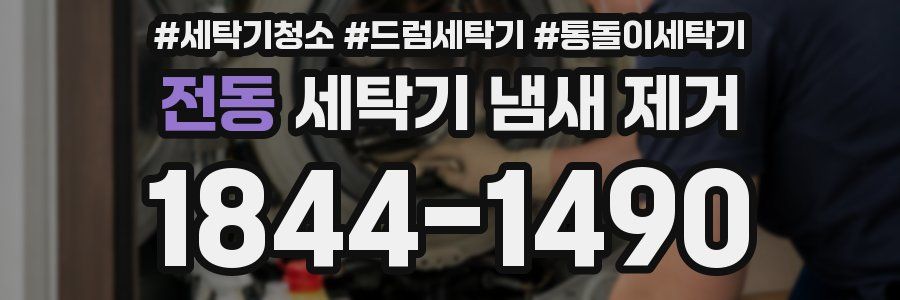 전동 세탁기 냄새 제거