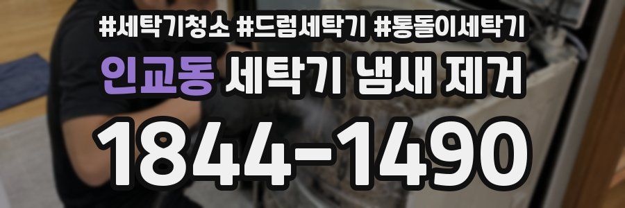 인교동 세탁기 냄새 제거